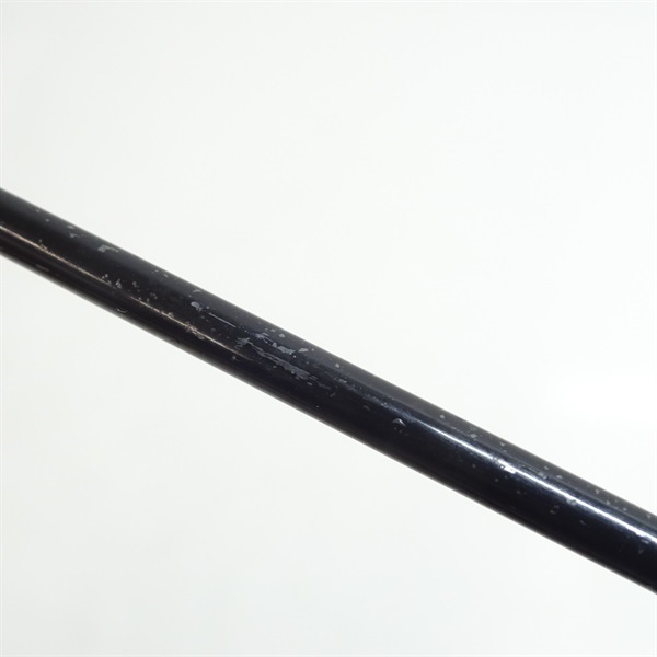 普天元 大我十三